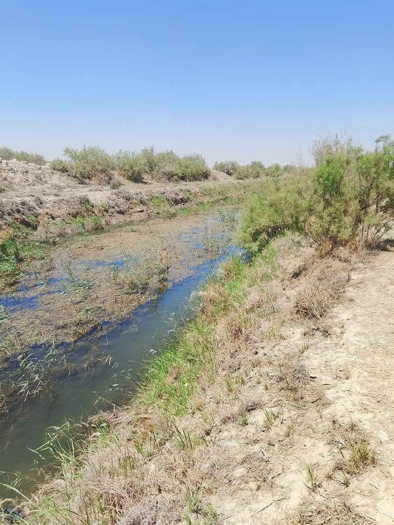 للبيع الكاع 3 دونم ونص واقع حال الصحيح 2 دونم النزال 175 العرض 45  عنوان طريق الدغاره نزلت نبي شعيب 
***********
