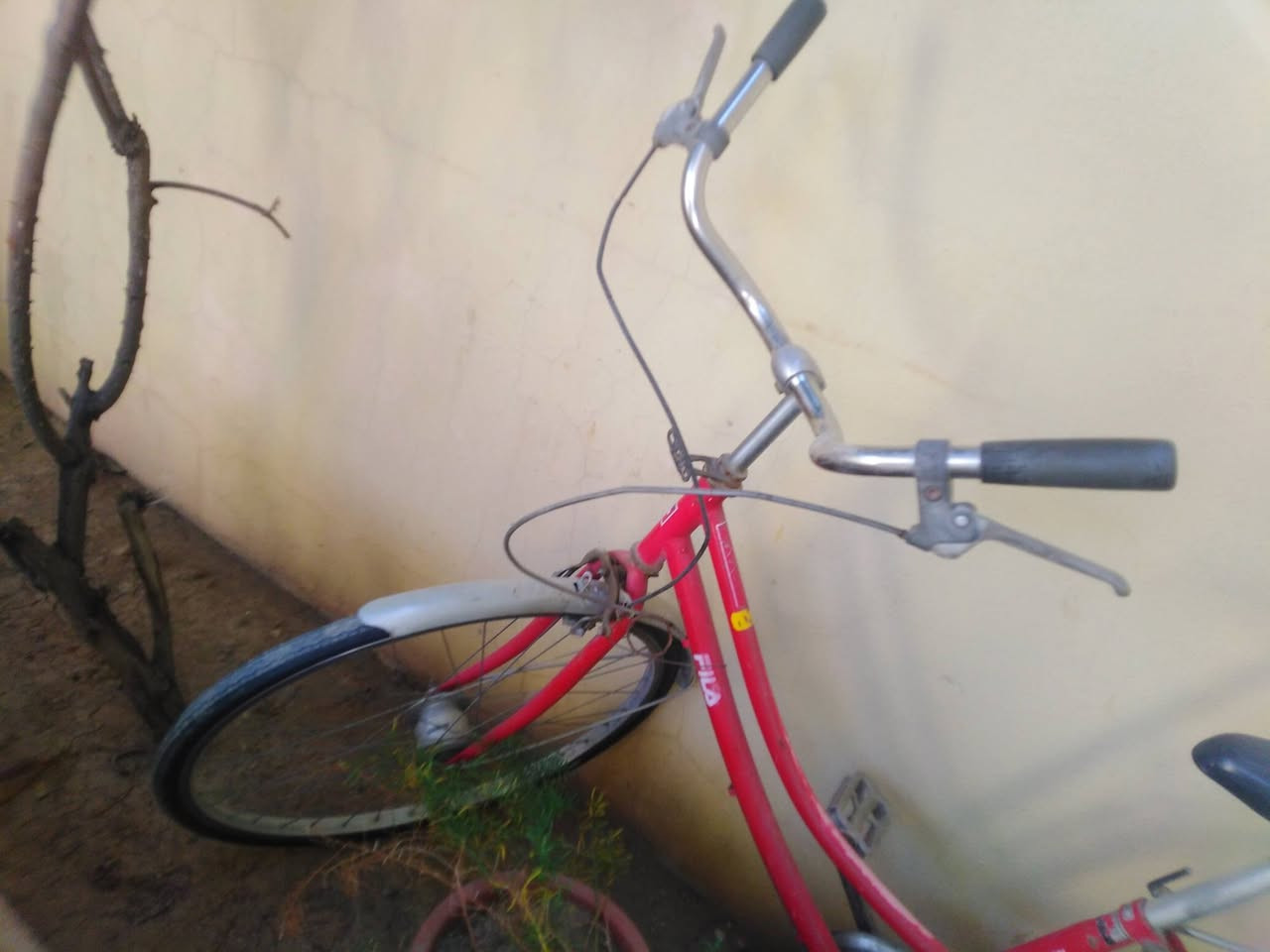 للبيع ماطور شحن عاطل احتمال عطل بسيط + بايسكل بحالة جيدة
الاتصال على الرقم ***********  :***********
