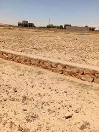 قطعتين • ٢٠٠٠م • الزيتون الغربي