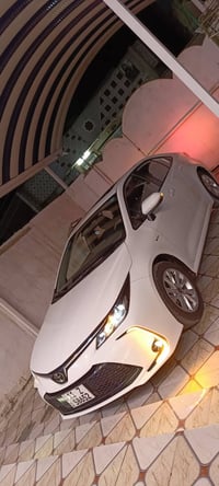 كورلا • ٢٠٢٥ • جديدة الشط