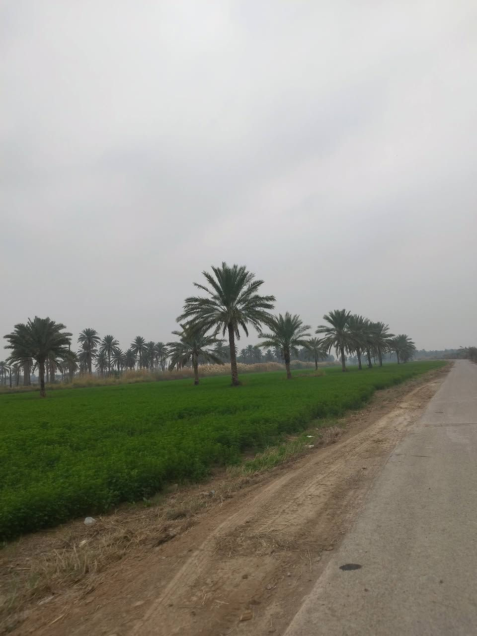 سلام عليكم يوجد دونم للبيع الواجهة 30 طابو ملك صرف 
المكان المدائن الجعاره تبعد عن الشارع الرئيسي 300متر
***********@
