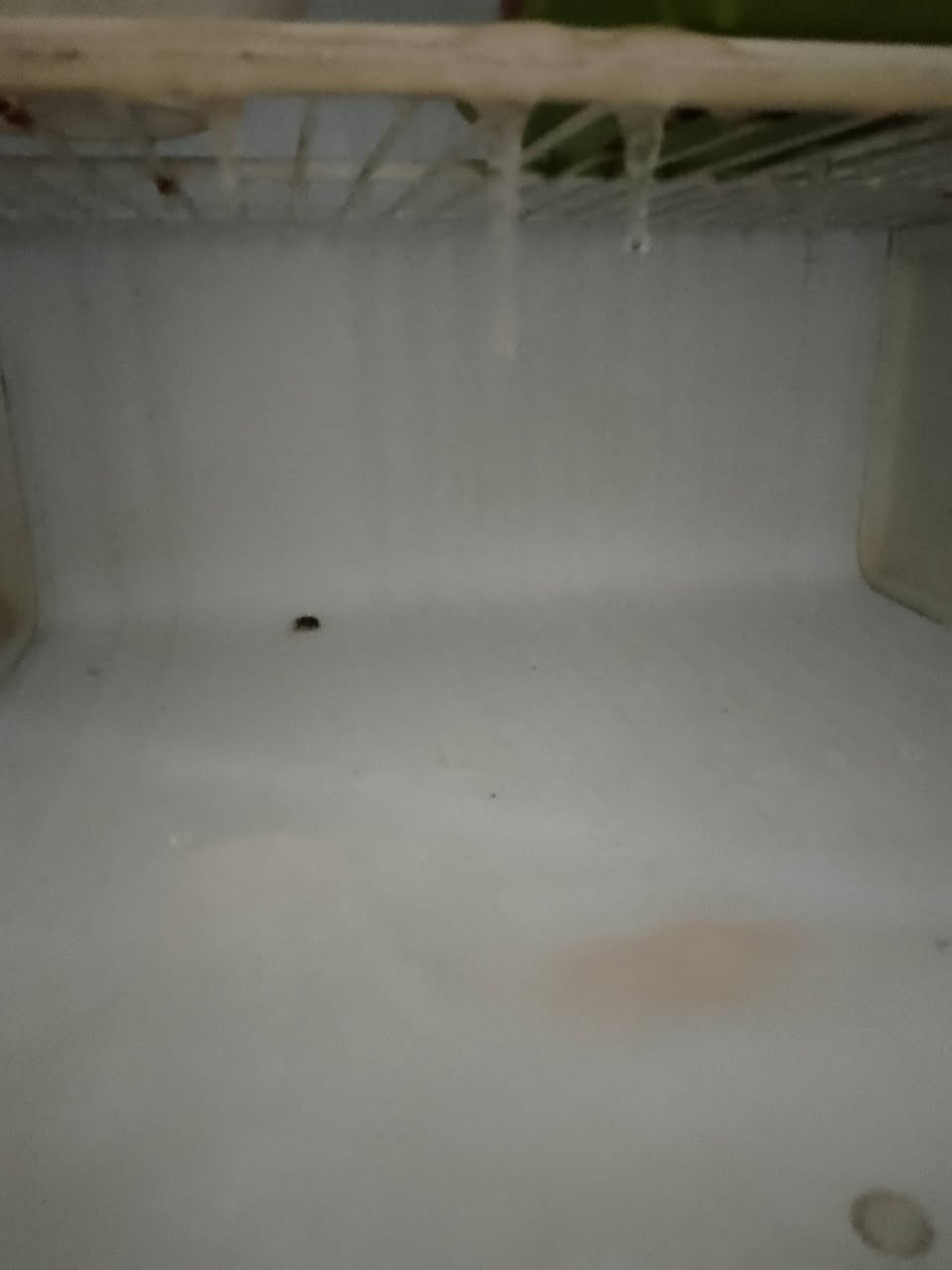 سلام عليكم عدنه ثلاجه للبيع السعر 150 وبيها مجال قليل العنوان لليوسفيه حي الشهداء قرب ثانويه أحباب المصطفى


**إذا كنت صاحب هذا الإعلان وتريد حذفه لأي سبب، رجاءا أرسل رسالة إلى الدعم الفني**