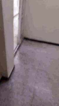 السلام عليكم شقه للايجار العنوان بغداد البلديات دور العمال. قرب شارع 30 مقابل المستوصف الصحي  الشقه طابق  ثاني.  مساحه الشقه  75 متر  تحتوي على غرفتين وصاله  وبلكون   وباقي الملحقات.  سعر للايجار 400  وبيهه مجال  الاتصال علا هذا الرقم ***********
