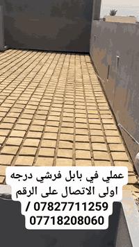 عباس حسن • سجاد العكيلي • بابل