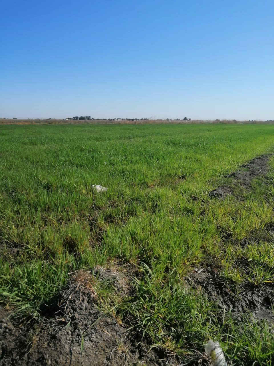 قطعه ارض بسعر مناسب✨
السلام عليكم ارض للبيع 3 دونم✨عبور جسر سبع البور الشيخ عامر في منطقة العيساوية
 تبعد عن سوق الشيخ عامر 20 دقيقه طابو زراعي سند25 على طابو الفلوجه
 فتح بيان بأسمك متوفر كافة الخدمات من كهرباء وماء وقريبة على السكن
 سعر الدونم 8 ونص وبيهه مجال وتباع تقطيع حسب الطلب

 للاتصال،***********واتساب
‏
