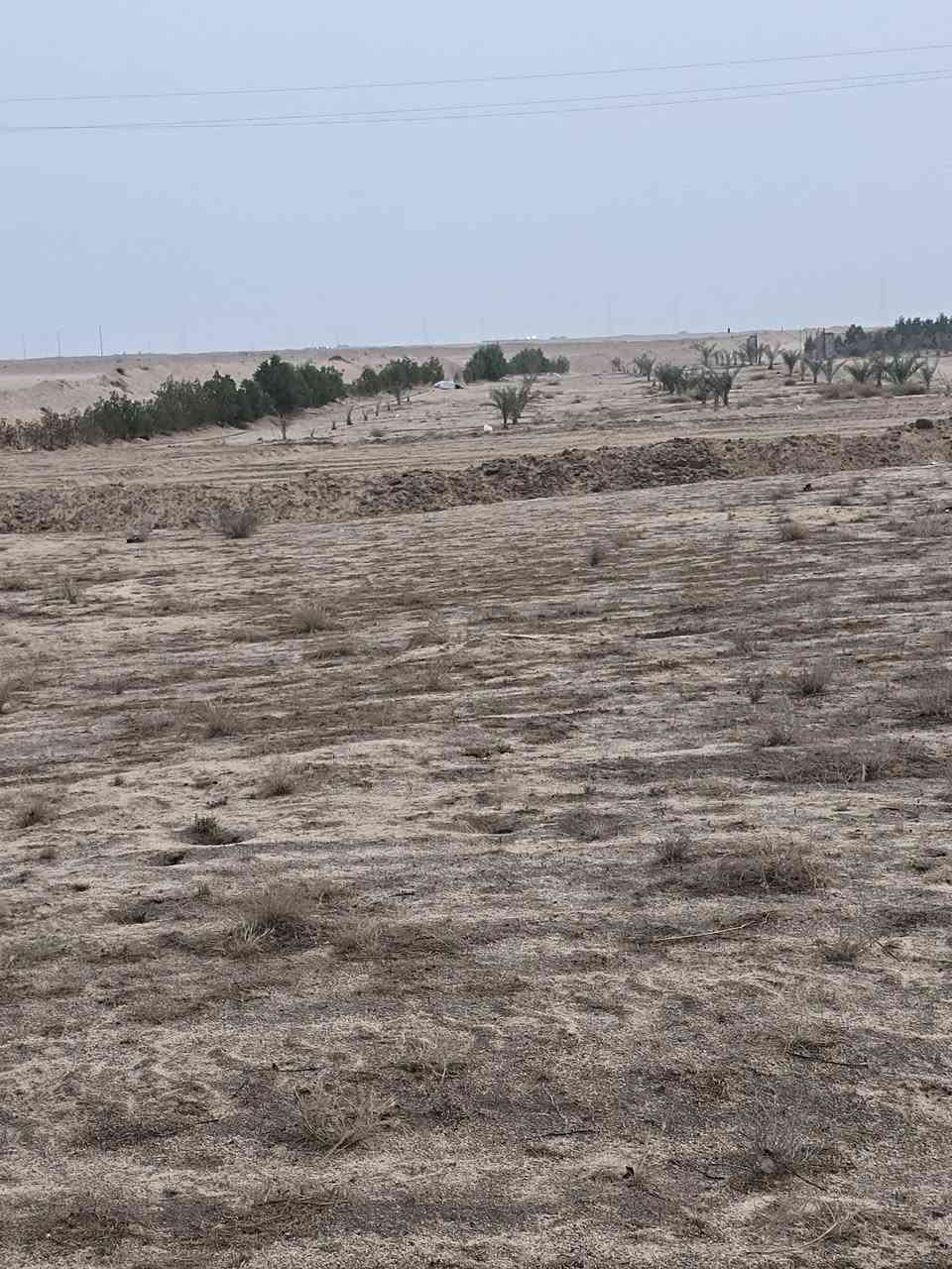 السلام عليكم
٦ دوانم للبيع بيهن كهرباء وطنيه السعر ٣٠ مليون قفل 
العنوان طريق سفوان زبير النزله قرب معمل بلوك ديالى تبعد عن الشارع ٢ كيلو
***********
