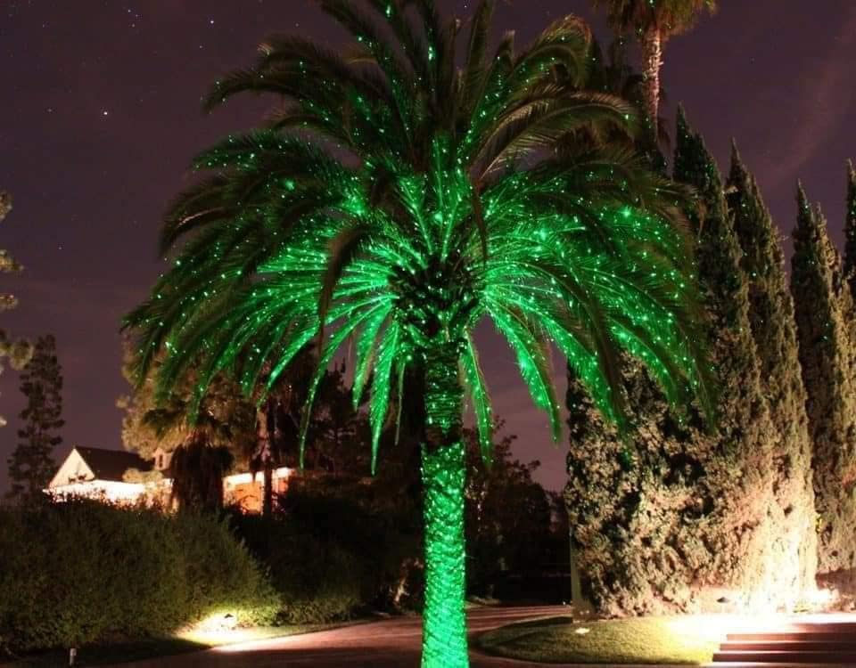 نشره حبل ضوئيه اصليه ومضمونه 100•/• 100  
💎💎 نشرات ضوئية لتزيين ولجمال الأماكن 💎💎
يتوفر جمله /مفرد
1️⃣ حبل 50 متر  240 لد طول فقط متوفر كل من الالوان ( شمسي / ابيض / احمر / ازرق / اخضر / ملونة )السعر 17 الف  الف

 ✅حبل 20 متر  150 لد طول فقط متوفر كل من الالوان ( شمسي / ابيض / احمر / ازرق / اخضر / ملونة ) السعر13  الف 
 
✅ حبل 30 متر  200لد طول فقط متوفر كل من الالوان ( شمسي / ابيض / ملونة ) السعر16  الف
ضد الماء مطري 🌨🌨
♡بي عدة استخدامات لتززين وديكورات
♡يستخدم في فضاء الشوارع 🌫
♡وايضاً في الحدائق المنزليه والعامه 🏡
♡وفي واجهة البيوت والعمارات 🏢
♡ويلف على الاشجار والنخيل 🏝🏝وعلى الأعمده 🌉🌇

* النشرة تأتي عبارة عن حبل خط واحد الصور عباره عن عمل وتوضيح لعمل النشره وديكورات مختلفة 💚
يوجد خدمة توصيل لكافة محافضات العراق 

توصيل بغداد 5000 كافه محافضات

للحجز والاستفسار مراسلة الصفحة او الاتصال على الرقم 

او المراسلة عبر الواتساب 📞***********📞
