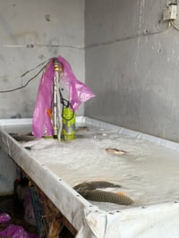 تجهيزات محل كامل مثل مواضح بلصوره غراض كلهن ممسخدمات هواي شهر واحد فقط...