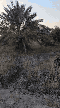 2000 متر طابوا اسهم تحويل المكان ازديناويه طريق السياحي خلفه مدرسه الواثق السعر خاص الشراي ينتصل على الرقم  ***********
