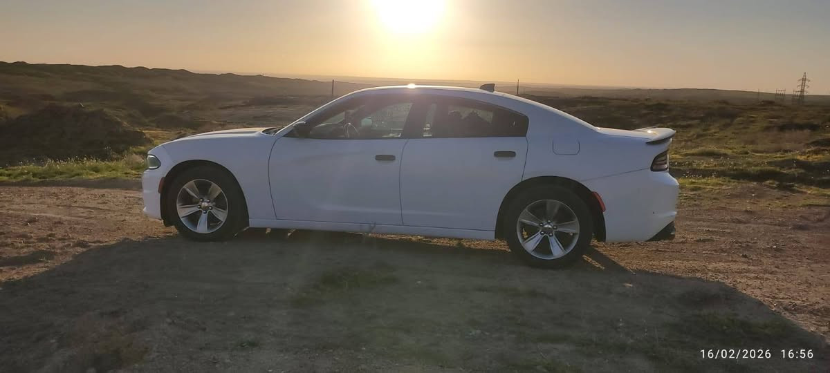 سلام عليكم جانجر موديل ٢٠١٧ كنديه بسمي رقم بغداد متاح للبيع مفحوصه وسونار منشور
***********
هذا رقمي
السعر 225 بيها مجال
