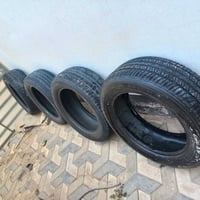 تخم دلوب • ٢٦٥/٥٥/٢٠ • انتاج ٢٢
