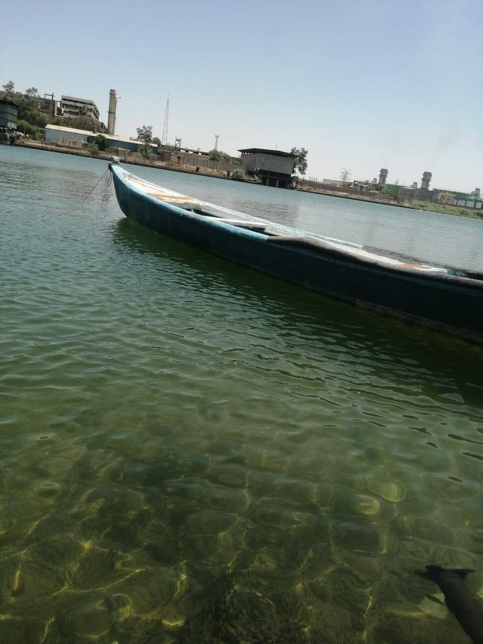 بلم فيبر كلاص قطع الطول 13ذراع بلم نضيف وحلو مكاني البصرة  بلكرمة الشراي واتساب وانا بالخدمه السعر 400وبي مجال قليل *********** بلم حلو واسع ما يتكلب وفيبرة من هذا القوي طكة طك بلحديد مالة شغل
