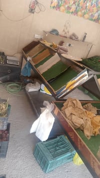 ميوزه مال علوه للبيع بسبب التفرغ عندي دوام واذا تريد المحل تعال وشوفه ...