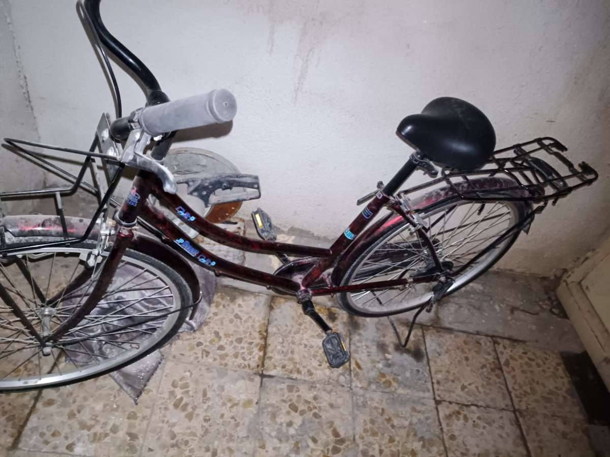 سلام عليكم 
باسكل ياباني اصلي حجم 26 موشم احمر ✨

باسكل كامل مكمل كل شي ما ناقصلة 🔥

السعر 100 قفل 99 ما ابيع 

العنوان كربلاء الملحق قرب معارض السيارات بصف مقبرة حمزة الصغير 

الرقم *********** اخو جديد الباسكل متروك
