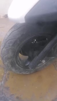 ماكس ثعلب ١٤٠ • بغداد • اسود ابيض