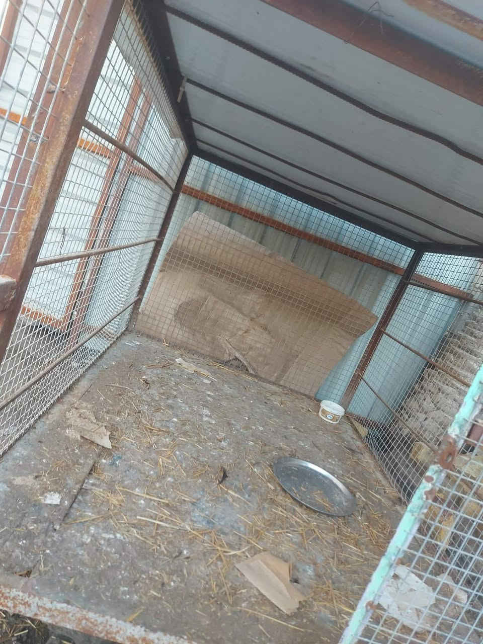 قفص حديد من هاذ الزين البيراسي كذالك سعره 100 بي مجال بسيط باب لبيع ب30 قفل ودبه ب20 
مكاني القرنه حي السلام جسر المشاة 

رقمي متواجد اتصال ونت***********
