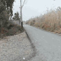 وبركاتة بيت البيع منطقت الراشديه وتفاصيل الباقيه داخل  07714260670