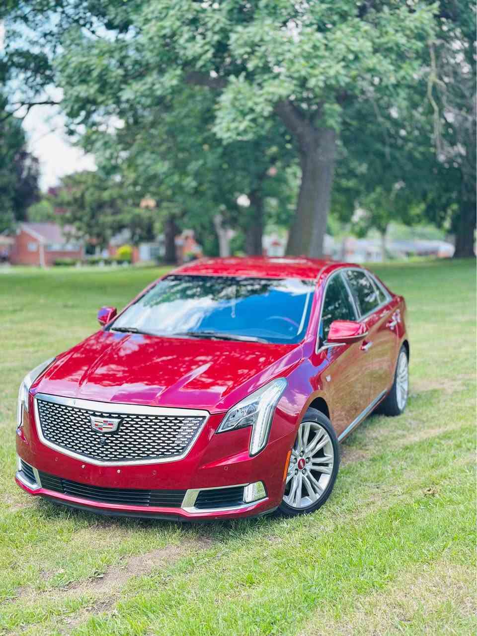Hello I have here a beautiful low mileage 2019 Cadillac xts premium luxury with only 24k original miles clean tittle never been in a accident oil changes and fluids all up to date car needs nothing but a new owner looking to buy a family suv so I have to get rid of this one any other questions or concerns call or text me at 3one3 6five2 7two1one asking price is 17500 O.B.O thank you and have wonderful day النجف, العراق


**إذا كنت صاحب هذا الإعلان وتريد حذفه لأي سبب، رجاءا أرسل رسالة إلى الدعم الفني**