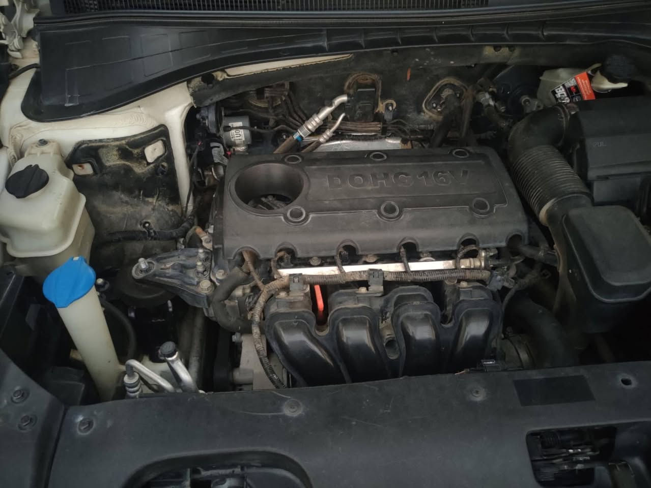 كيا سورينتو 2016 ،محرك 4 اربعه سلندر خليجي.
كير اوتماتيك ( شرط ) مامفتوح
مابيها قطرة صبغ السيارة نظيفة جدا.
ماشية137 الف كيلومتر
رقمها اربيل دولي وبأسمي
سبعه راكب
ثلاث قطع تبريد
شاشة ايباد
تحكمات ستيرن
اشاير بالمري
بصمة عدد 2
مقاعد جلد
كاميرة خلفية دوارة 360
مستشعرات امامي وخلفي
مثبت سرعة مصابيح زنون
بردات خلفية 
بيها تعديل بارد ( بالجنطة والچاملغ الايمن الخلفي اشوية)
السعر 195$ ورقة
***********
