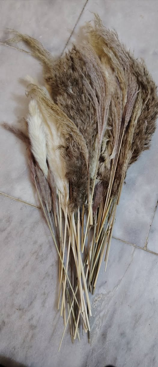متوفر اغراض جديده ومتنوعه وبسعر مناسب توجد خدمة توصيل لجميع المحافظات


**إذا كنت صاحب هذا الإعلان وتريد حذفه لأي سبب، رجاءا أرسل رسالة إلى الدعم الفني**
