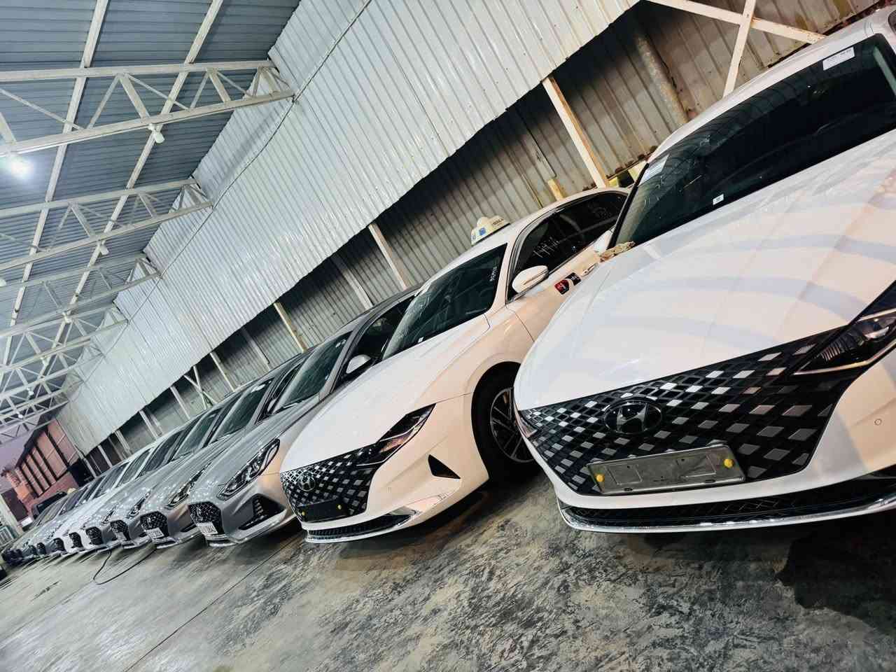 بســـــم الله الرحمن الرحيم 
تم وصول وجبه الى معرض سيد حسام الشرفي💁‍♂️

                  (زورونه ستجدون كل ماهو جديد🥇)٨
   
         

‏ كيا بيجو 2023 وأربعة وعشرين غاز وغاز فول وصفات ألوان أبيض كميات متوفرة

‏ سبورتج 2023 فول مواصفات لون أبيض غاز كوري كميات 
متوفرة

ازيره 2022فول مواصفات هايبرد+بانزين اسود داخل ابيض 

￼ازيره 2023 وأربعة وعشرين غاز فول مواصفات لون أبيض ورصاصي كميات متوفرة شكل قديم وشكل جديد

‏كي8 2023 والمواصفات غاز ألوان أبيض ورصاصي كميات متوفرة ￼

‏سوناتا 2023 فول مواصفات غاز لون أبيض ورصاصي وأسود كميات متوفرة شكل قديم شكل جديد

￼كي3 2023 نص فول كوري كفالة عامة ￼لون أبيض عدد واحد

￼ كيا اوبتما ￼ 2020 عمري خليجي فول مواصفات بي قطعتين من الخليج مكينة 2000 ￼

￼ كيا اوبتما￼￼ 2017 اصفر أمريكي حلوة السيارة ناشفة

📍بابل الشوملي قرب السيطره 
الاستفسار ***********
***********
