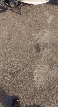 السلام عليكم
ماكس منغولي بحاله الوكاله دراجه برغي ما مفتوح بيها تجي جيب وياك الف فيتر وتعال
مبدل كفراتها نكره سلف بإي وقت
سعر 850وبيها مجال
تواصل واتساب فقط
***********
