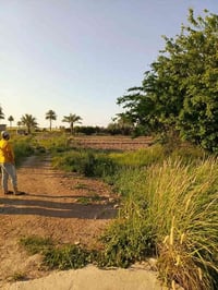 ٥ دونم • طابو زراعي • شط ذراع دجله