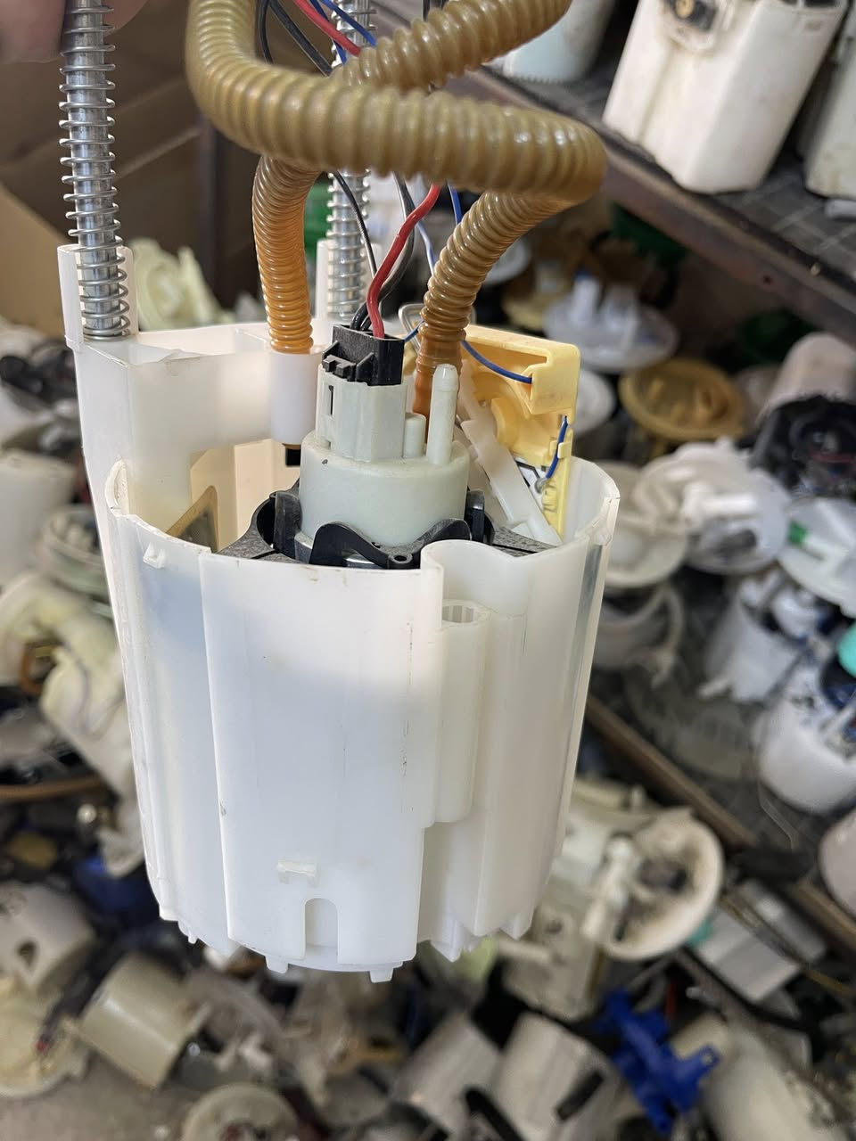 قواعد فيت بم دوج دورنكو قديم اصلي تفصيخ ***********
