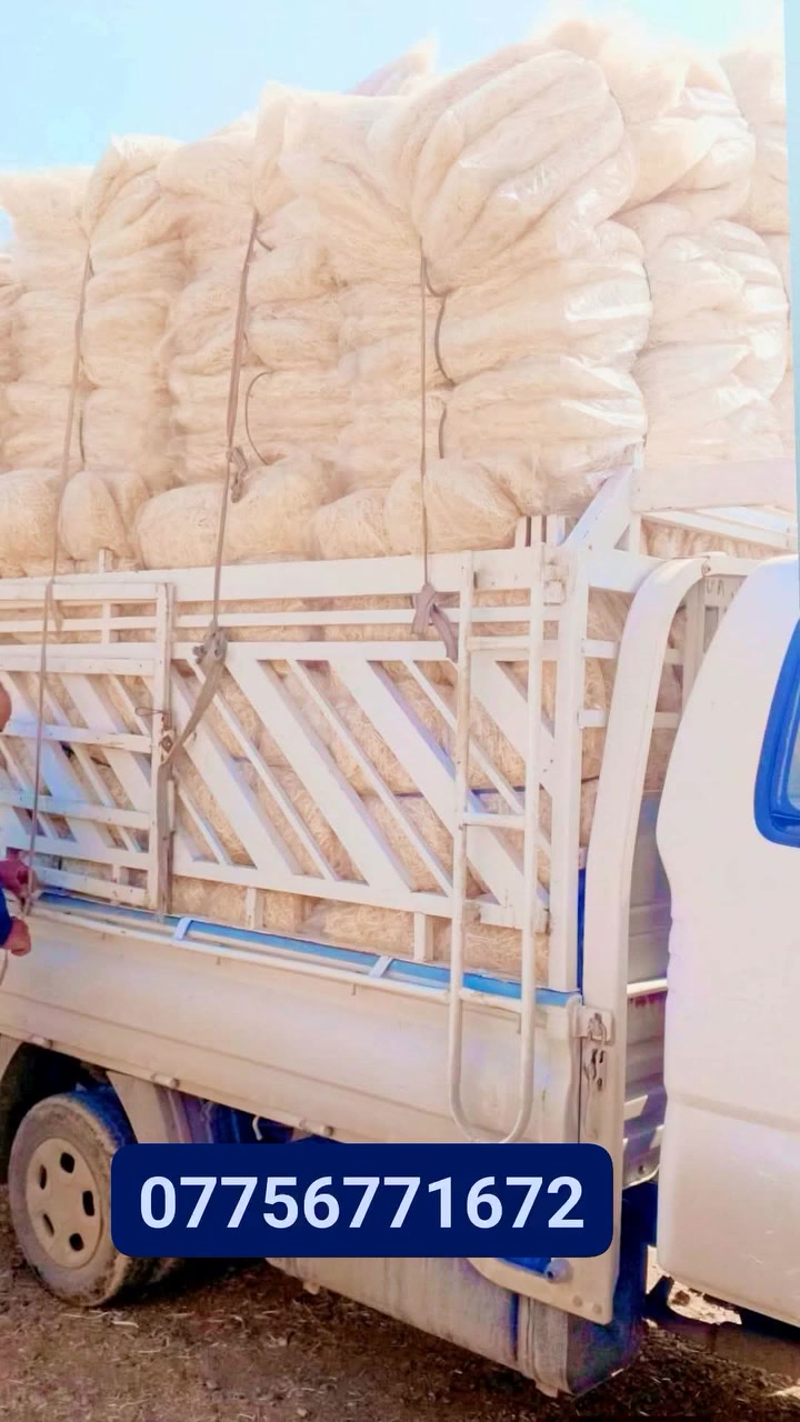 معمل الانتاج الحلفة العراقية مخيطه حسن احمد الزبيدي الحجز الطلب اسعار جمله  ***********
***********
