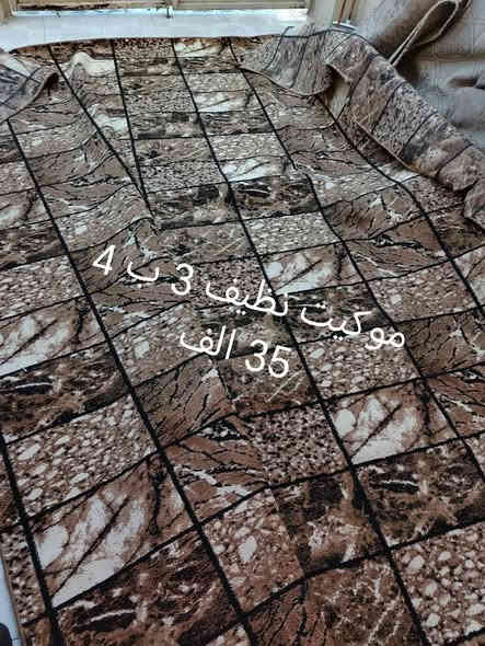 زوالي وموكيت تخم  نظاف  العنوان هفلان للتواصل خاص او الاتصال *********** وتساب
