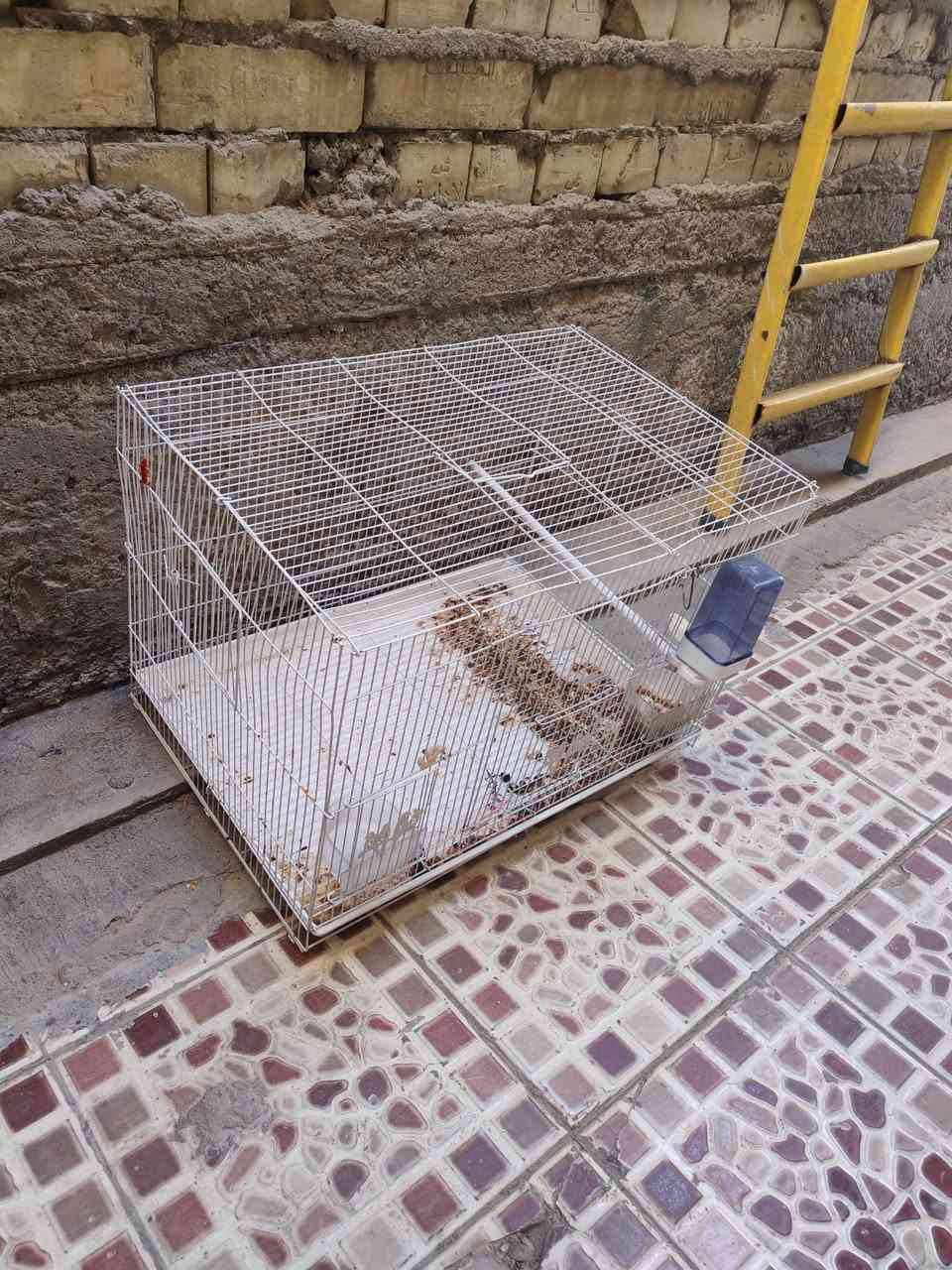 دريل كامل مع بطاريات شاحنه مال باتري سيارة وقفص كبير كلهن ب ٥٠ الف مكاني معالف


**إذا كنت صاحب هذا الإعلان وتريد حذفه لأي سبب، رجاءا أرسل رسالة إلى الدعم الفني**