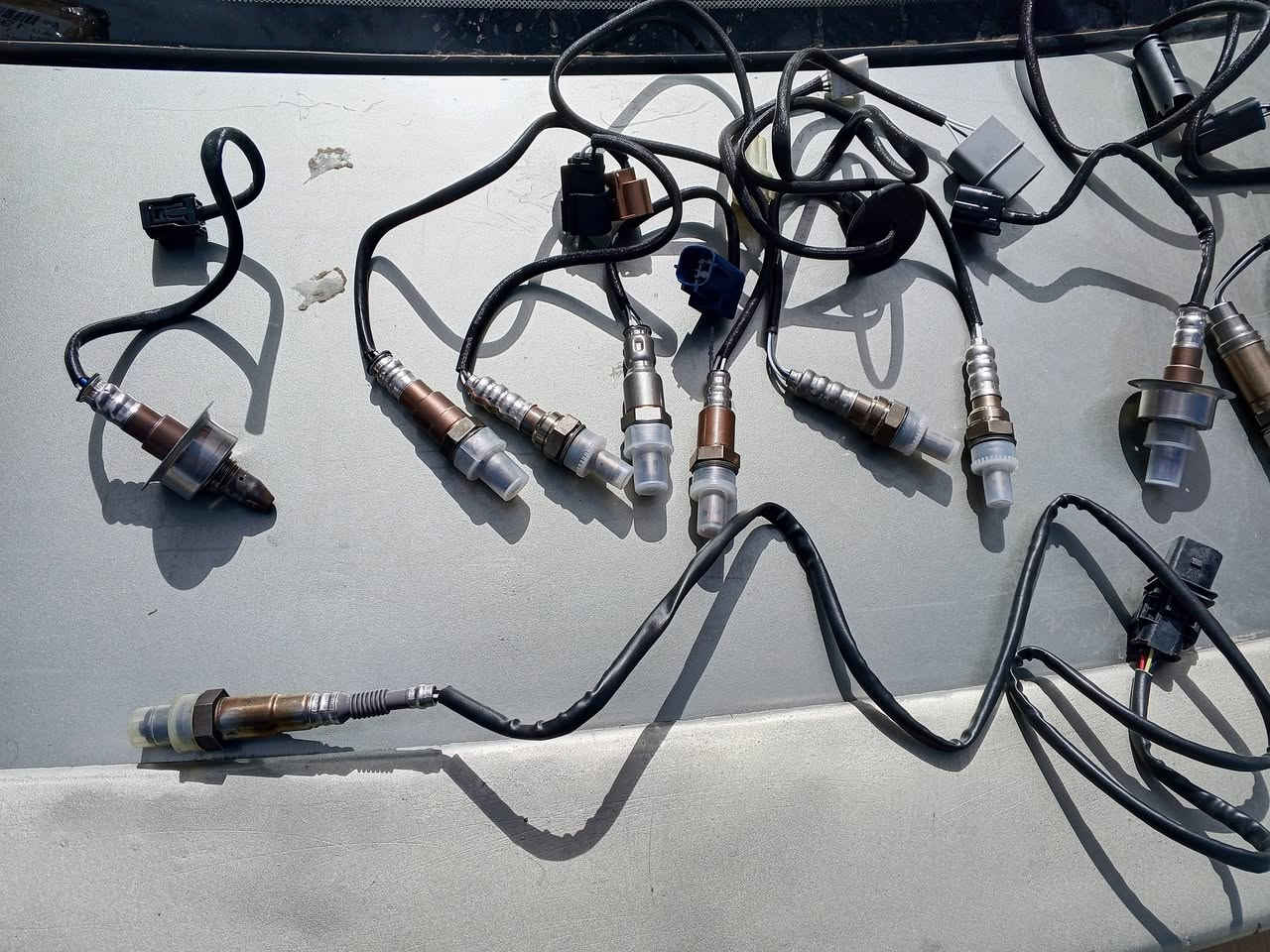 حساس تيست وكاله الأصلي
كل سيارات 

وتساب للتواصل ***********
