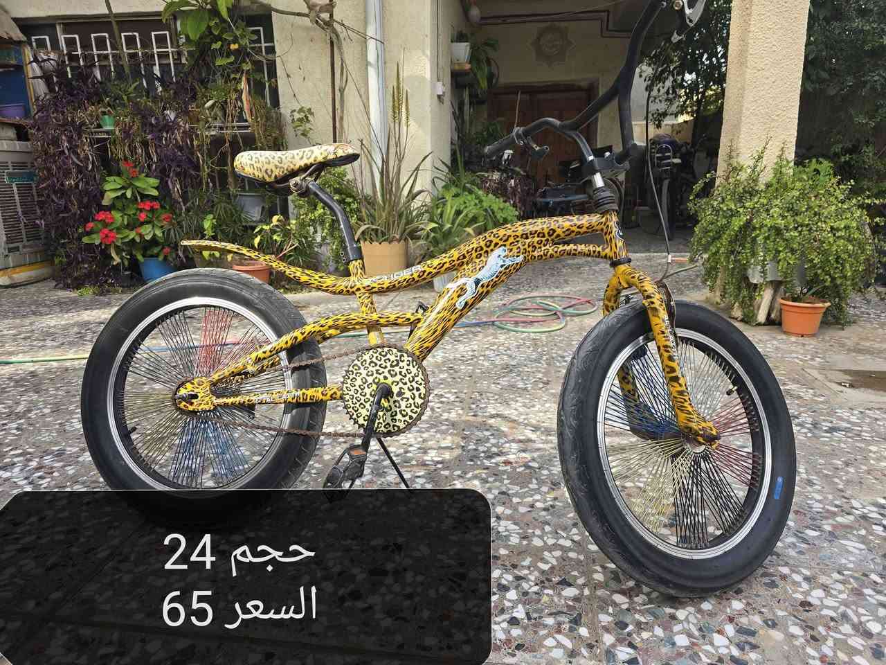 للبيع
المكان المحمودية


**إذا كنت صاحب هذا الإعلان وتريد حذفه لأي سبب، رجاءا أرسل رسالة إلى الدعم الفني**