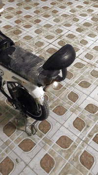 متاح دراجه شحن حجم ١٦ كهربائيات كله شغاله بطاريات تخم جدد النضافه مثل ما موضح بصور السعر ١٨٠ يرهم بيع و مراوس مكاني هيت حي البكر *********** وتساب واتصال
