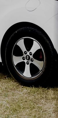 مراوس ١٨ • ويل ١٦ • نظافة ٩٩٪