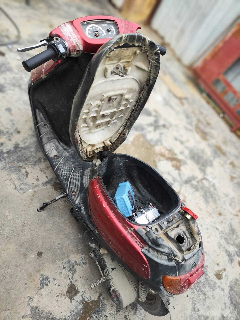 دراجة منغولي فحل للبيع   السعر 350 الف دينار  // *********** واتساب
