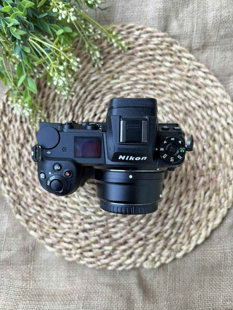 اتفرج ع الحلويات Nikon z6ii حاله زيرووو📸🔥
معاها الادبتور فيرجن 1 وبيتري جريب نيكون اصلي
والشاحن الاصلي والبطارية والحزام 📸📸
البادي وارد الخارج 👌


**إذا كنت صاحب هذا الإعلان وتريد حذفه لأي سبب، رجاءا أرسل رسالة إلى الدعم الفني**