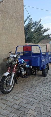 ستوتة جمرة فحل • ٢٠٢٣ • رقم وسنوية