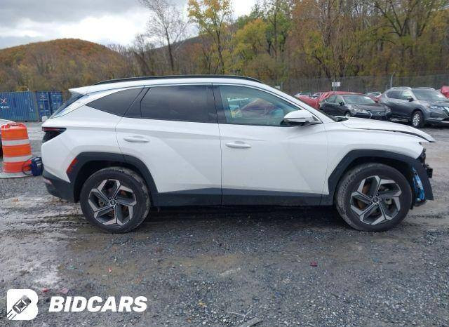 شـــــــــــــــــــركة مـــايباخ 
بأدارة علي عباس الخُزاعي 
وجهتك الأولى لأستيراد وتصدير السيارات

هيونداي توكسان موديل 2024
لمتدد فول مواصفات حاليا بدبي
واصل للبصره مصلح وجاهز بدون كمرك ب180 قفل

الديوانية . حي الجزائر . شارع البستان
📞 *********** 
📞 ***********
