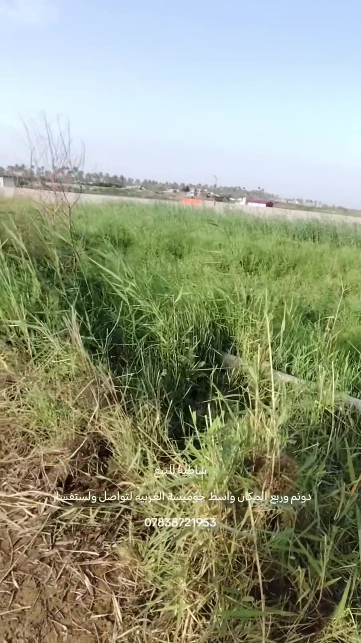 للبيع 
     شاطيه دونم وربع 
            الموقع: جوميسه الغربيه
تواصل ولستفسار :***********
