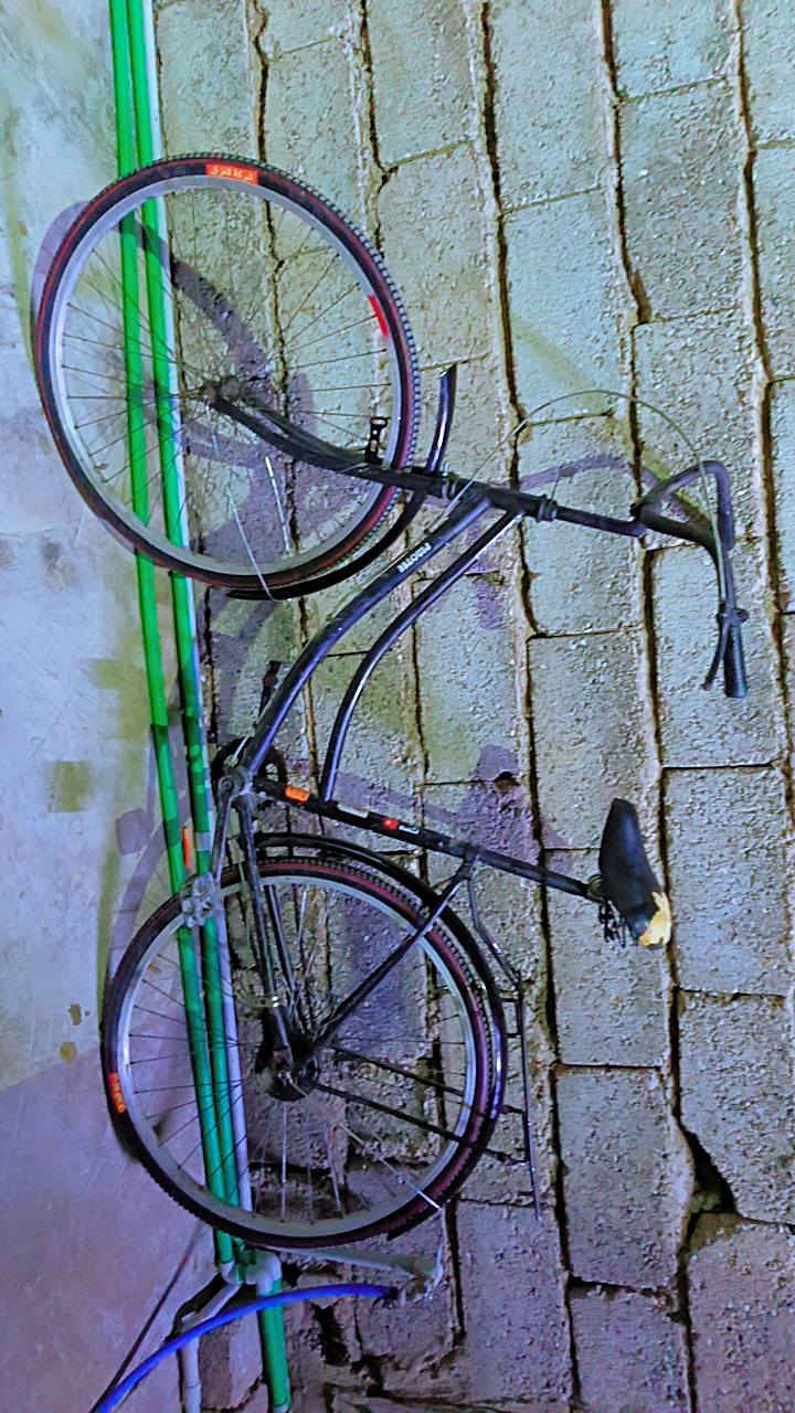 باسكل لبيع الي يريد شلع أحسب على 50 الف وإذ مفرد همين على 50 الف


**إذا كنت صاحب هذا الإعلان وتريد حذفه لأي سبب، رجاءا أرسل رسالة إلى الدعم الفني**