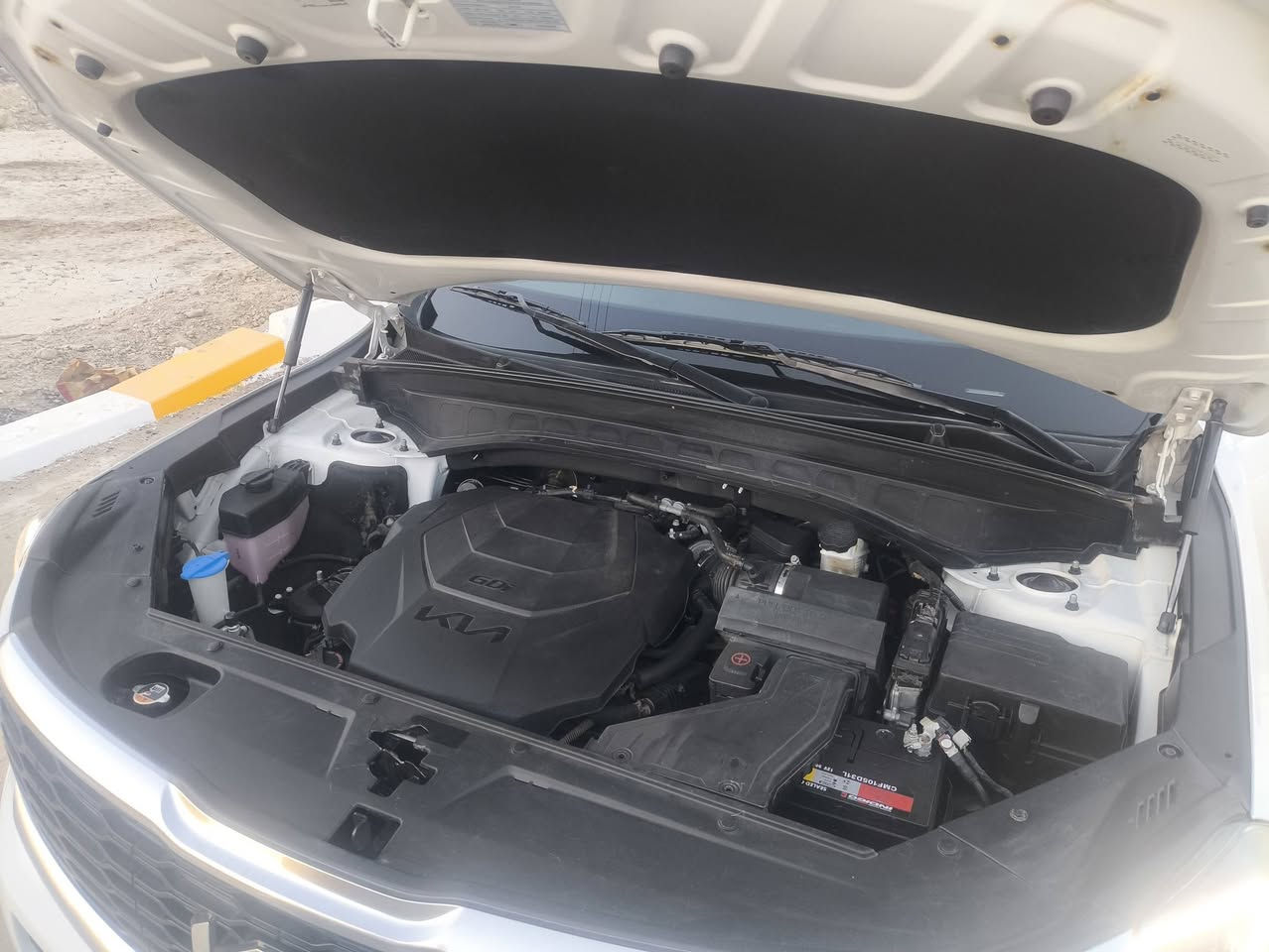 السلام عليكم كيا تلورايد وارد امريكي 2022
ماشيه 30 الف
مكفول من التبديل والصبغ
فقط بارد بالباب الامامي الايمن
تشغيل عن بعد 
كشنات جلد 
شاشه كبيره 
كشنات تدافئه 
داخل اسود 
رادر امامي 
رادر جانبي 
نضام الخروج عن المسار 
نضام القياده الذاتيه 
مثبت سرعه 
لايت-بك لايت 
سستم صوت 8سماعات
ويل حجم 20

وبعد بيها مواصفات 
السعر 285
مكان السياره ناصريه 
***********
