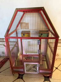 قفص بلابل • نظيف • مناسب