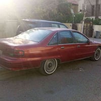 دولفين البيع 07709966246