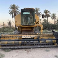 حاصده ١٩٩٦ • لوحة نجف • بابل الاسكندريه