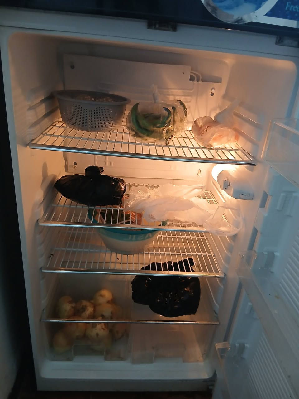 ثلاجه جبيرة كلش نظيفه سعر 300وبيه مجال مكانه سبع البور


**إذا كنت صاحب هذا الإعلان وتريد حذفه لأي سبب، رجاءا أرسل رسالة إلى الدعم الفني**