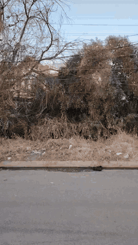 حي البريد • ٦٠٠م • واجهة ٢٠م