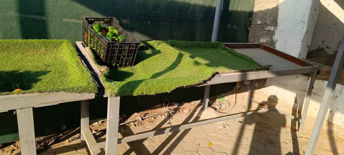 ميازه مخضر 3ميازه طول والميز 3مترات واحد منهم جبير مثل ما موضح بل صوره *********** Singapore
