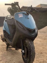 فراشه • البصره بني منصور