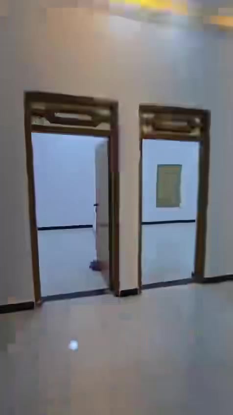 هاتف ***********
